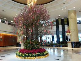 Dongfang Hotel